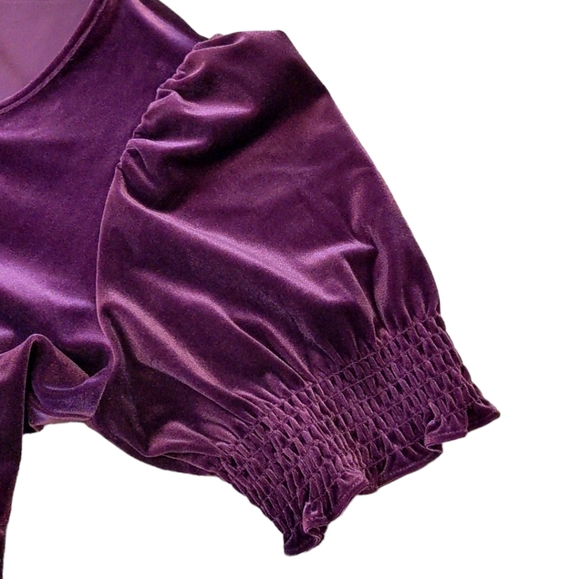 Draper James Lee Ann Dress in Velvet Crimson Purple Puff Sleeve Tiered Medium - Picture 3 of 8